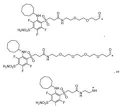 Figure imgf000039_0001