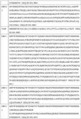 Figure BDA0004078918960000961