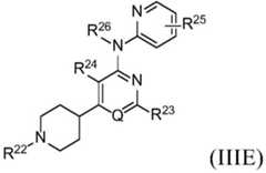 Figure BDA0002268634580001973