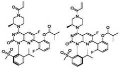 Figure BDA0002861043520000944