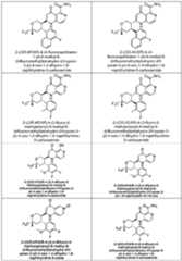 Figure imgf000035_0001
