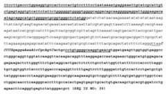 Figure imgf000048_0001