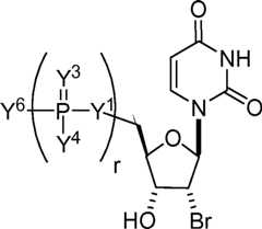 Figure AU2019202835A1_D0145