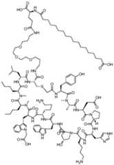 Figure imgf000326_0001