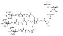 Figure 0007429103000114