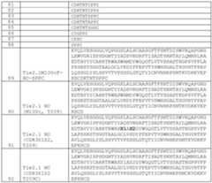 Figure imgf000151_0001