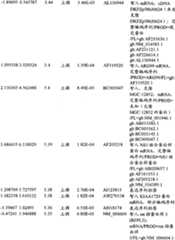 Figure BPA00001280678302401