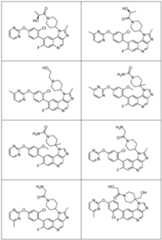 Figure imgf000014_0001
