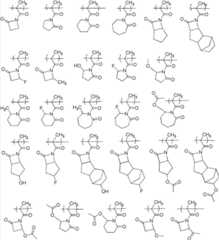 Figure BDA00001906038500201