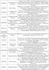 Figure PCTCN2022090268-appb-000054