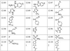 Figure BDA0001937647270000731