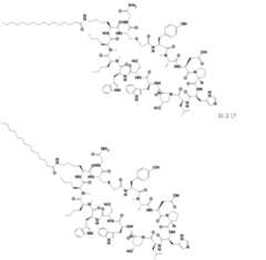 Figure 0007085545000025