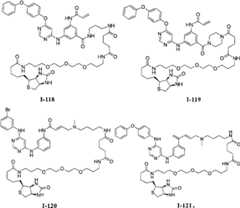 Figure BPA00001476434901061