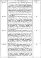 Figure imgf000055_0001