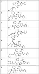 Figure FDA0003465902320000131