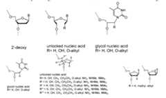 Figure imgf000059_0001