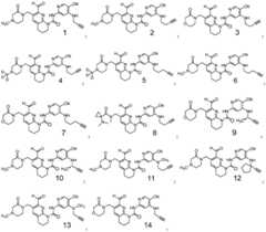 Figure BDA0002760624540000052