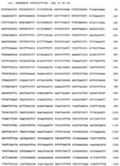 Figure imgf000165_0001