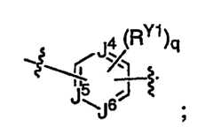 Figure 112007011503269-PCT00308