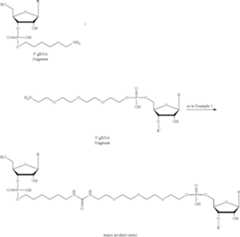 Figure US12338436-20250624-C00507