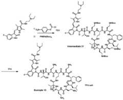 Figure imgf000088_0001