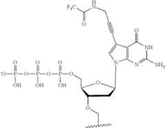 Figure US12215122-20250204-C00486