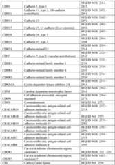 Figure imgf000334_0001