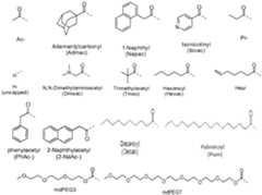 Figure imgf000050_0002
