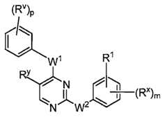 Figure 112016119396583-pat00020