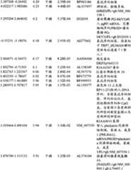 Figure BPA00001280678302871