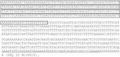 Figure US07026121-20060411-C00004