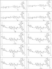 Figure PCTCN2022073822-appb-000176