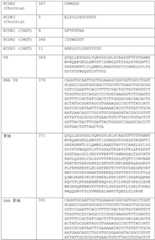 Figure BDA0002591526010000311