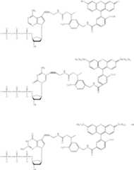 Figure US06664079-20031216-C00002