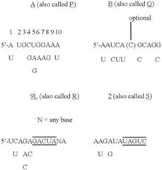 Figure US06180399-20010130-C00002