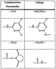 Figure imgf000029_0001