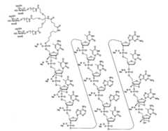 Figure 108131991-A0202-12-0024-6