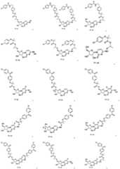 Figure PCTCN2022115474-appb-100014