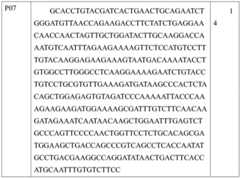 Figure BDA0001434941100000451