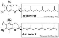 Figure imgf000067_0001