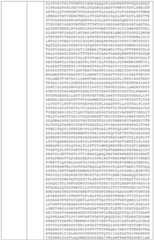 Figure BDA0002808063770000891