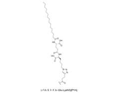 Figure 0007704732000169