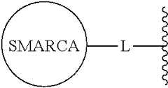 Figure US11679109-20230620-C00205