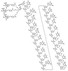 Figure 0007429103000018