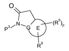 Figure 112013104759925-pct00055