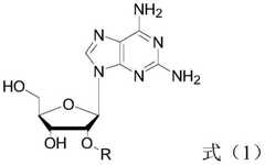 Figure GDA0002769930560000051