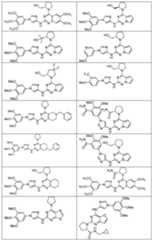 Figure imgf000706_0001