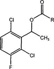 Figure A2005800324090002C1