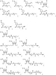 Figure FDA0003746740790000071