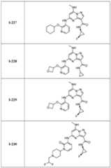 Figure imgf000107_0001